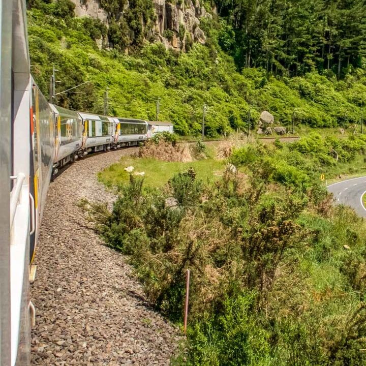 Scenery from Auckland to Wellington train
