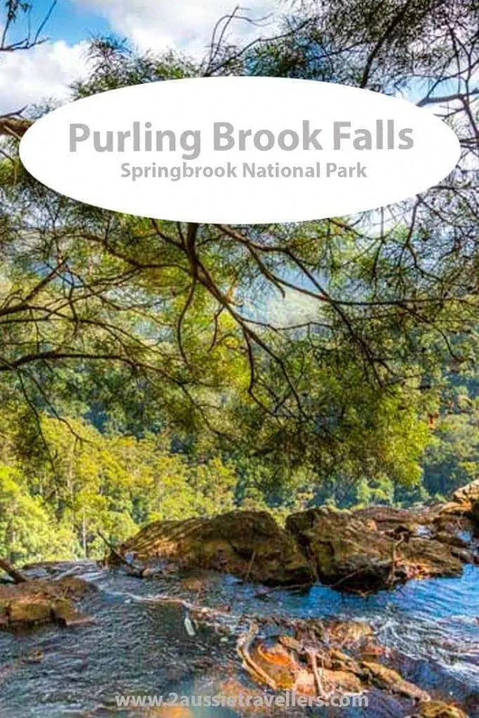 Purling Brook Falls Springbrook National Park