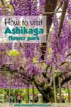 Ashikaga flower park