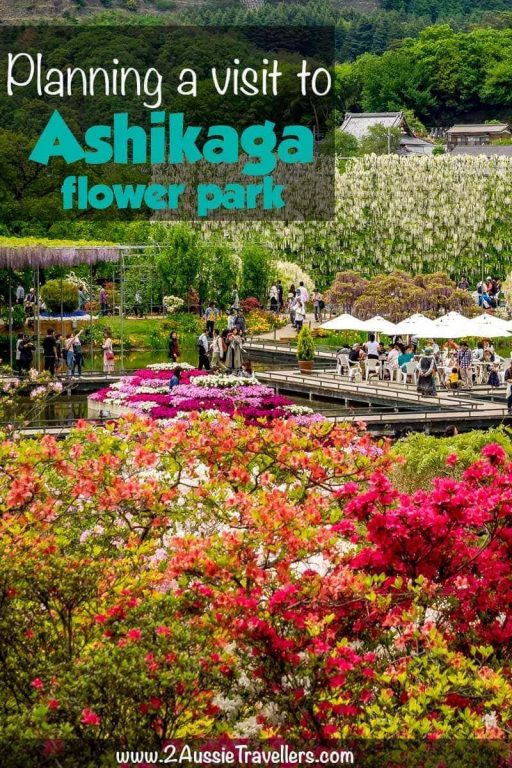 Where to see wisteria in Japan | Ashikaga Flower Park