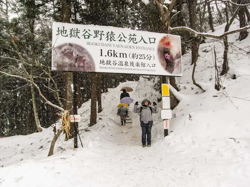 Entrance to the trail at Jigokudani monkey park