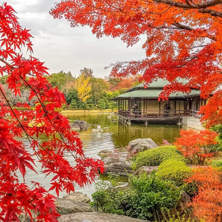 Sakai garden