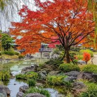 Japanese gardens in Sakai