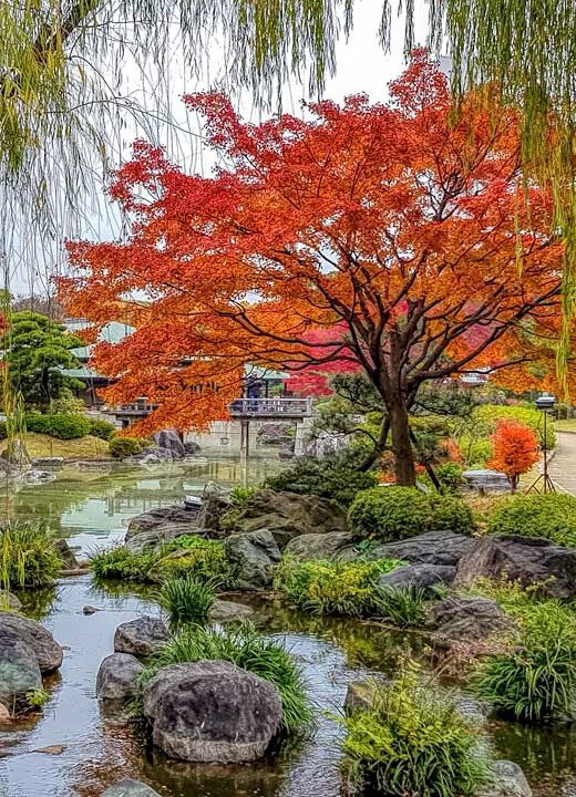 Japanese gardens in Sakai