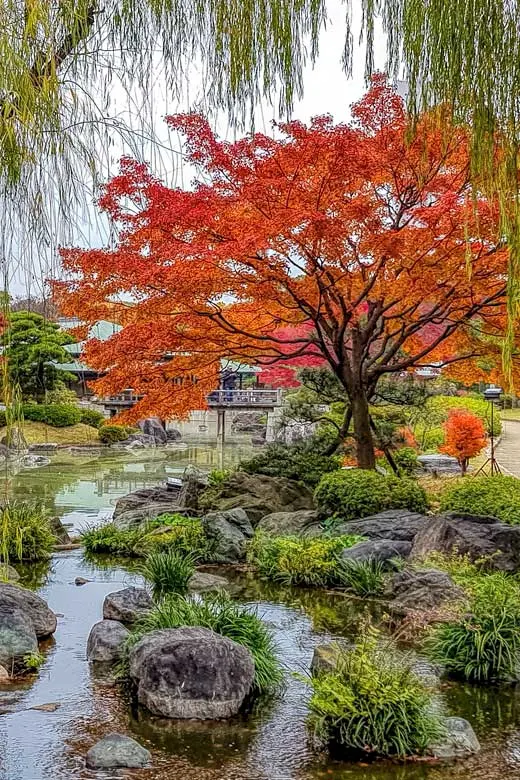 Japanese gardens in Sakai