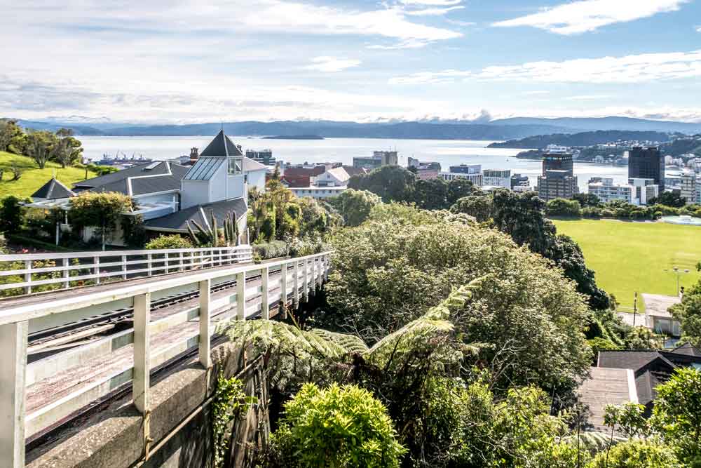 View of Wellington city