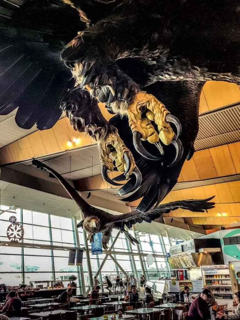 Giant eagles by Weta Workshop at Wellington Airport