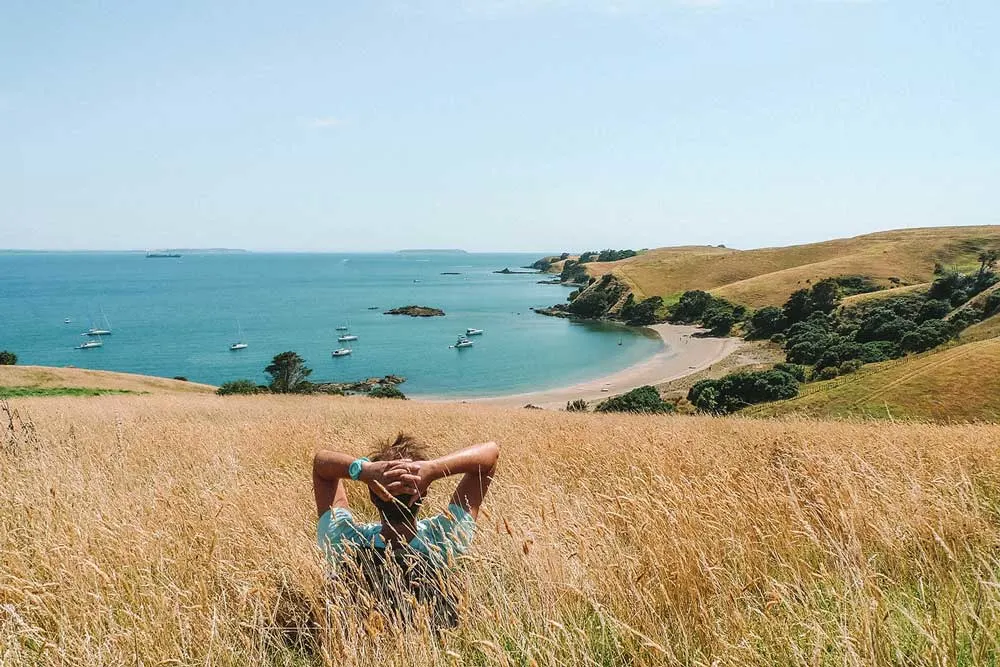 View from a grassy bank on Mototapu Island over the bay
