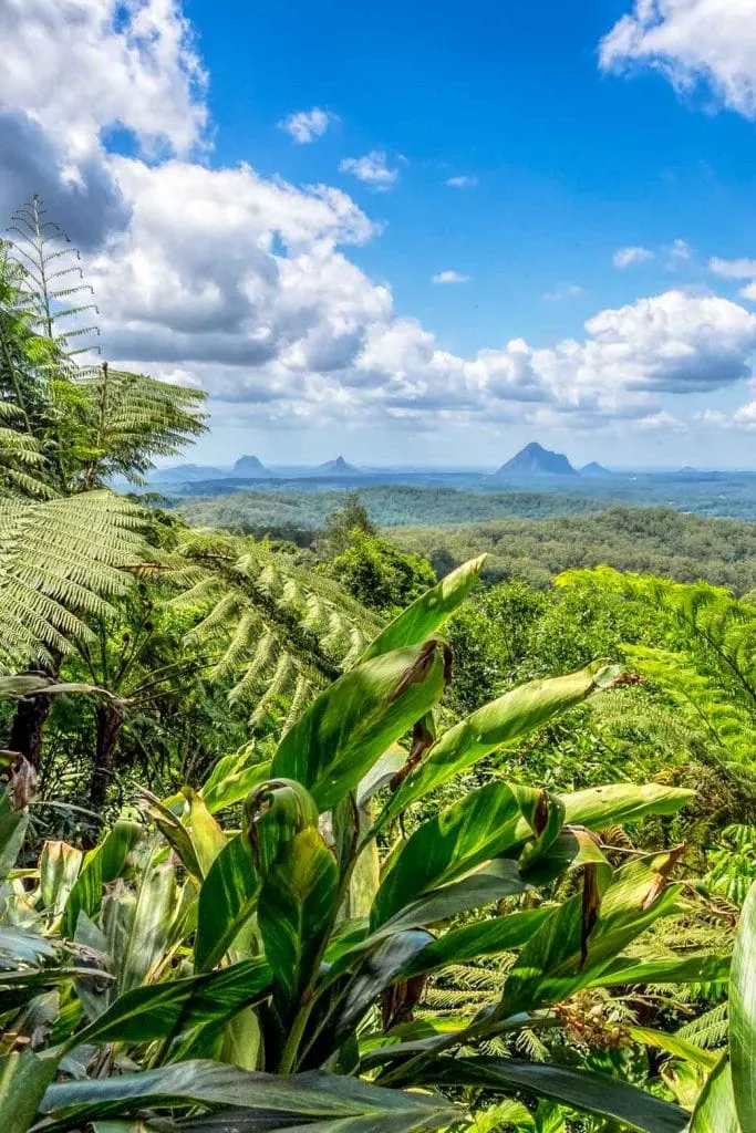 View from Maleny botanic garden out to the Glasshouse Mountains