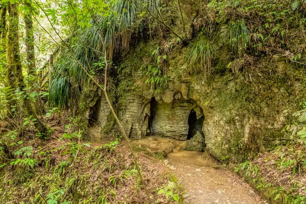 An impressive cave on the Ruakuri Walk