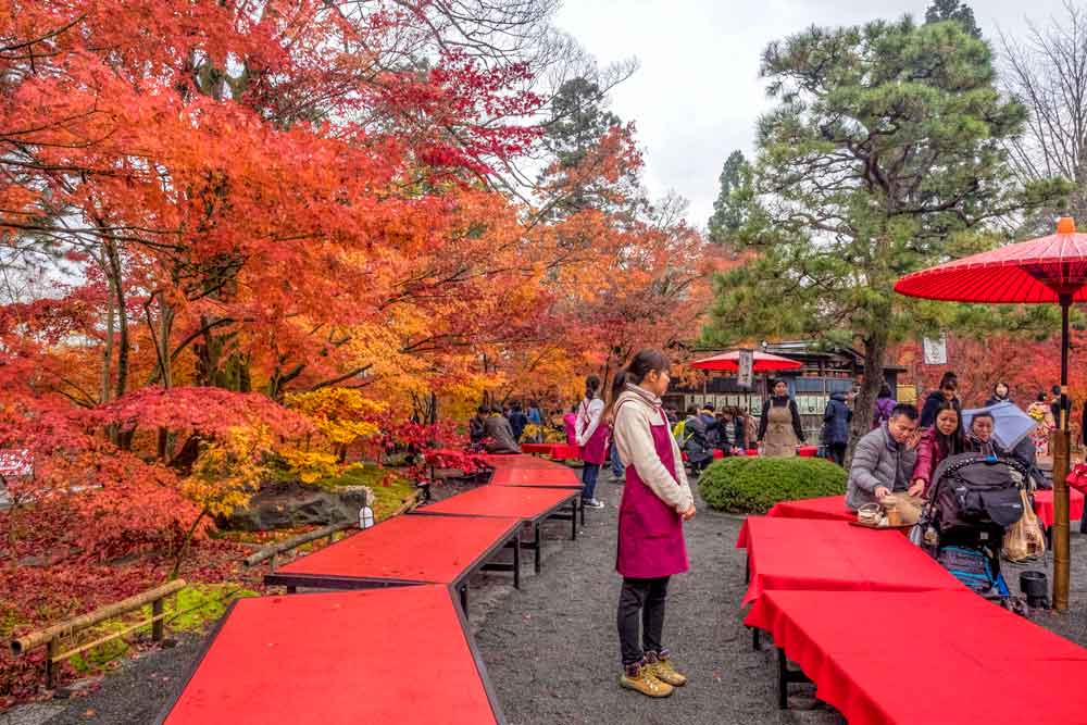 Eikando temple tea house during autumn leaves