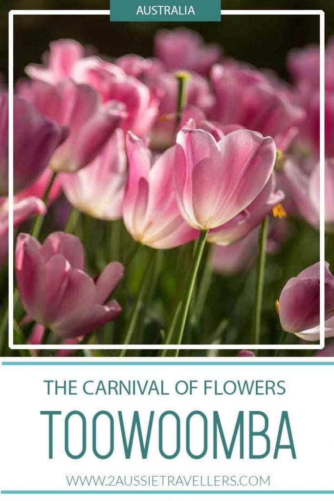 Toowoomba flower festival pinterest poster