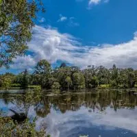 Lagoon at Crystal Waters Park in Thornlands, Brisbane