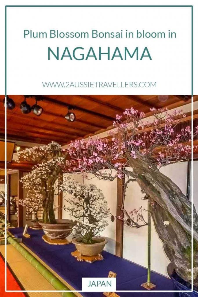 Nagahama bonbai exhibition pinterest poster
