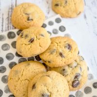 Chocolate chip biscuits