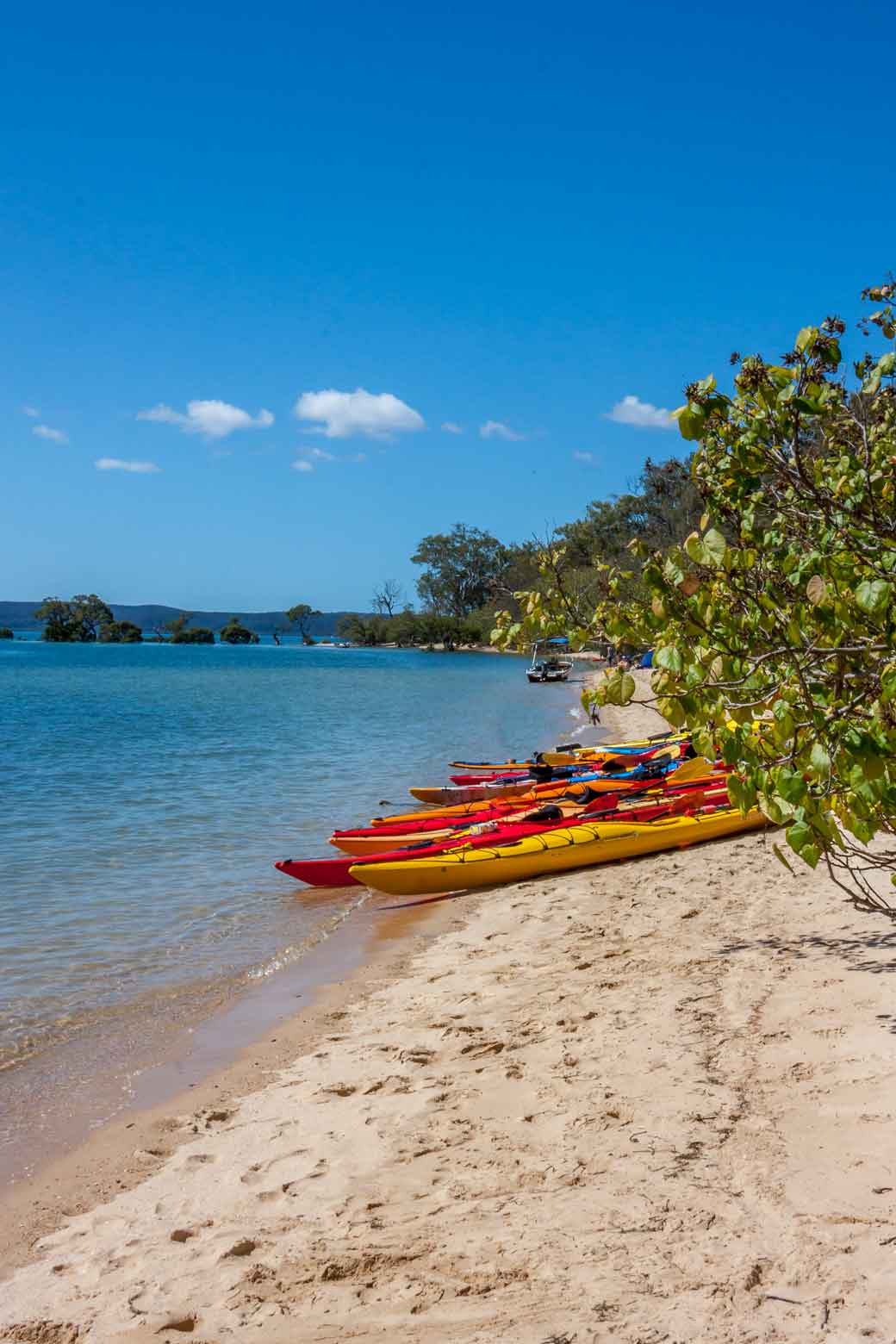 Things to do in Redland feature image of Coochiemudlo Island with kayaks on the beach