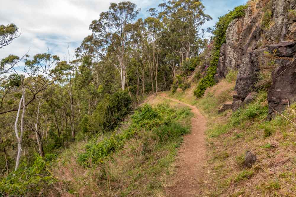 Pardalote track at Picnic Point