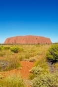 Uluru small image