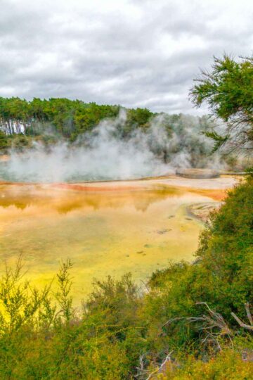 Colourful thermal pools at Wai-o-Tapu