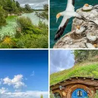Auckland day trips collage