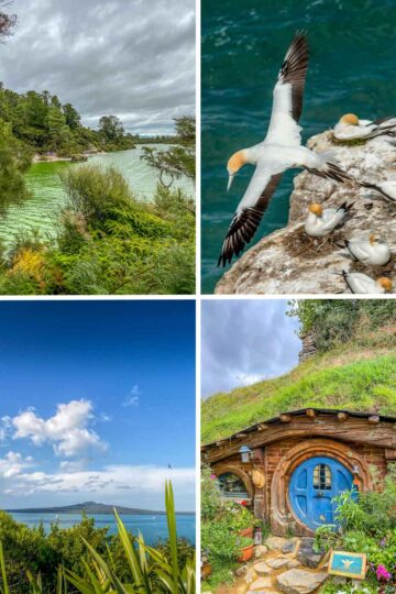 Auckland day trips collage