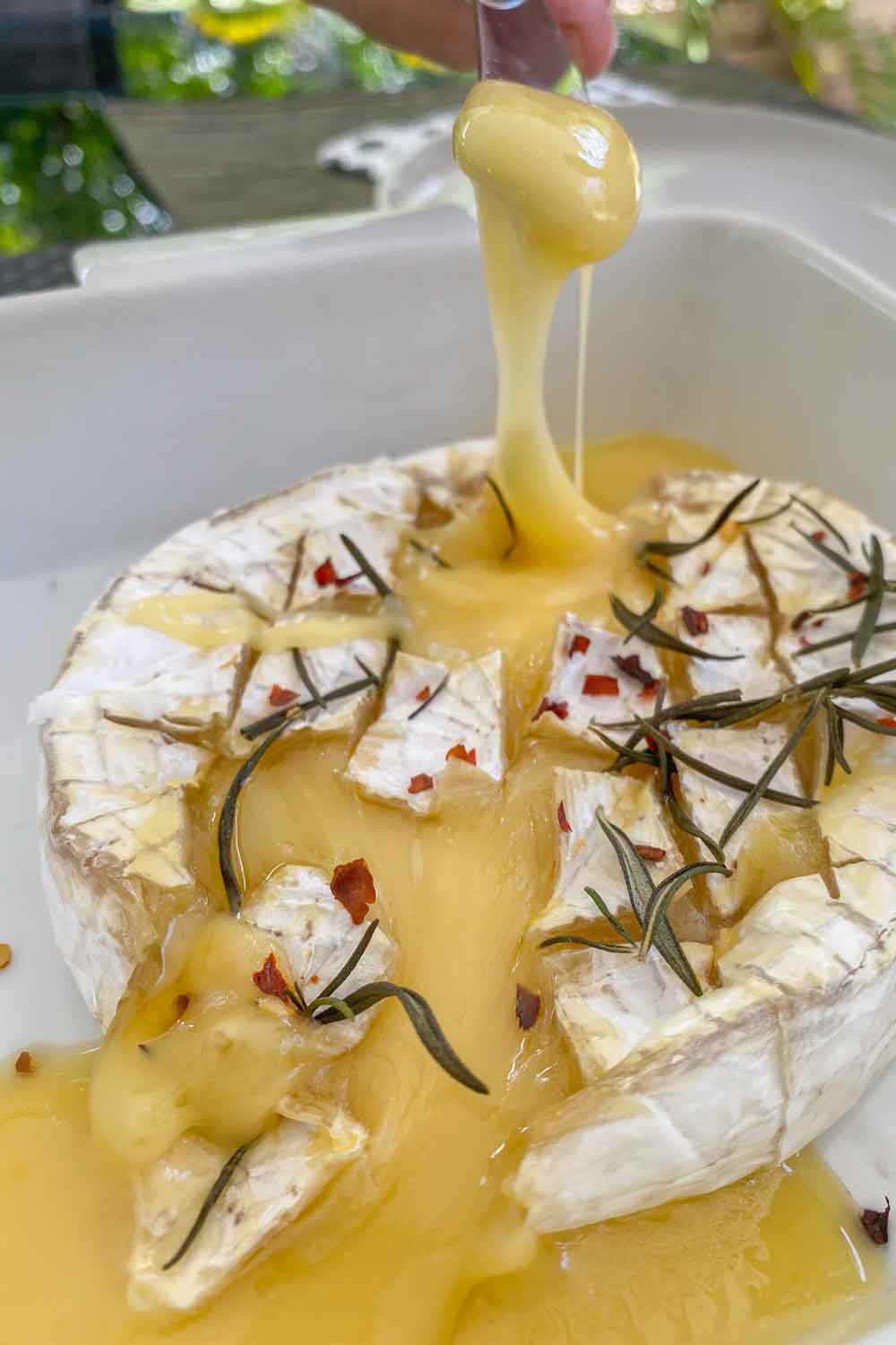 Baked camembert oozing melted cheese