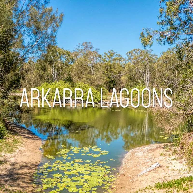 arkarra lagoons cover