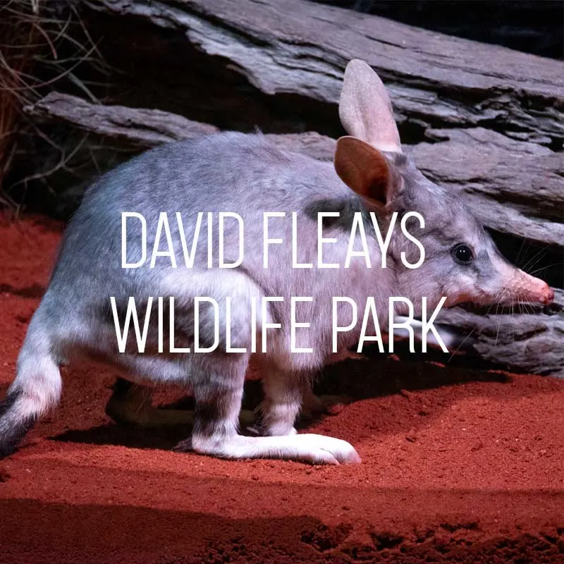 David Fleays Wildlife Park cover