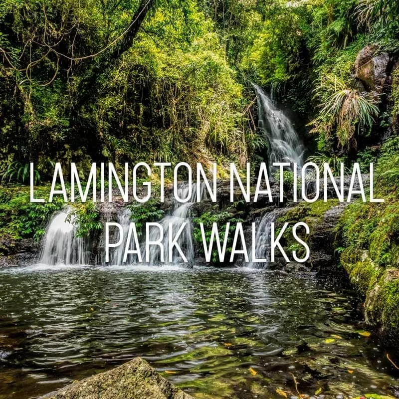 Lamington National Park Walks cover