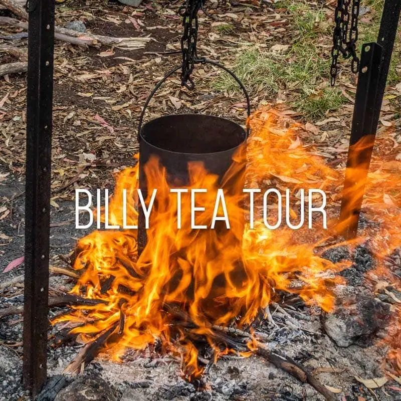 billy tea cover