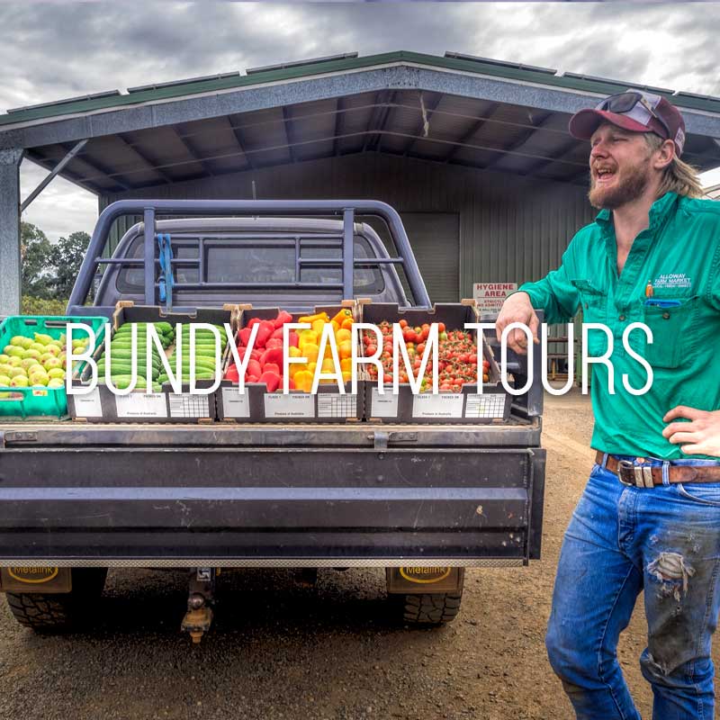 Bundy Farm Tours cover