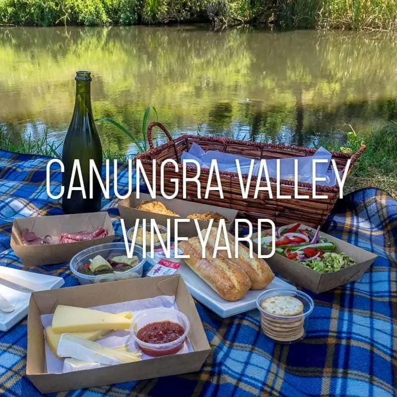 Canungra Valley Vineyard