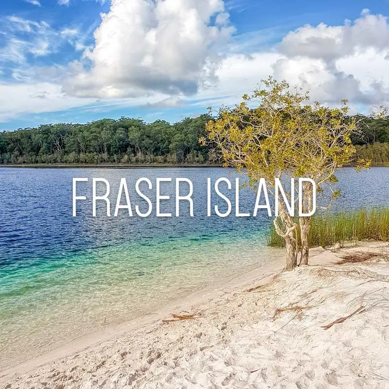 Fraser Island cover