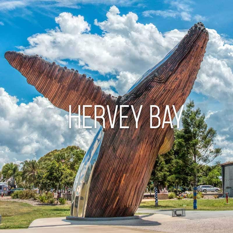 Hervey Bay cover
