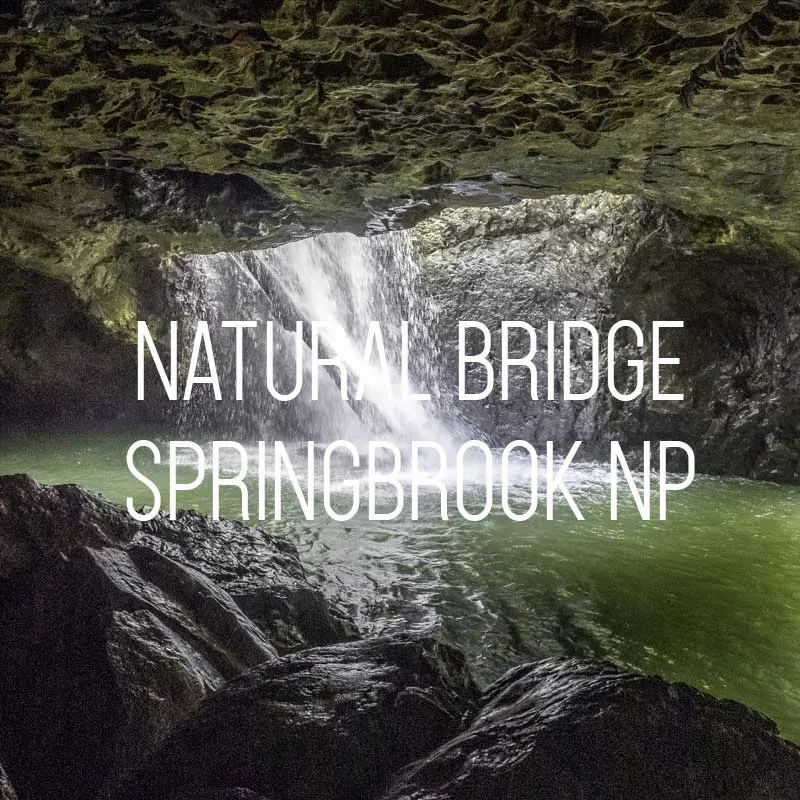 Natural Bridge in Springbrook cover