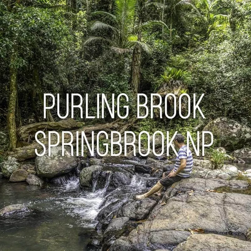 Purling Brook cover