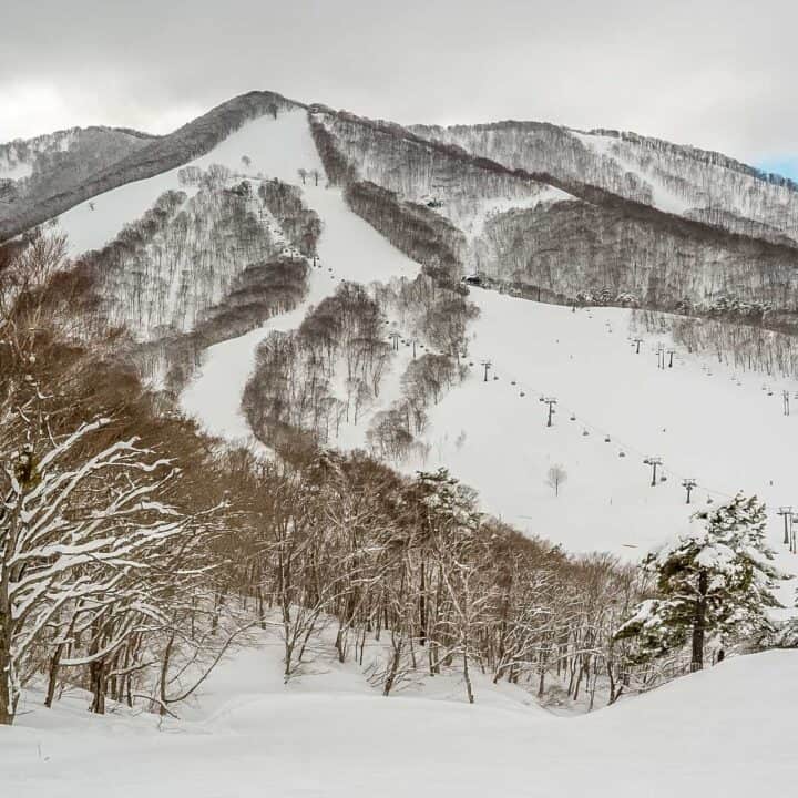 Iiyama ski slopes landscape in winter