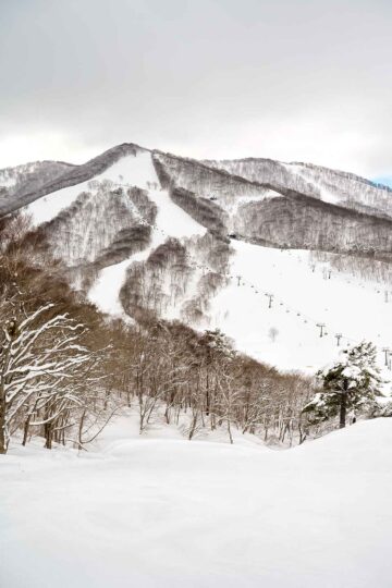 Madarao Mountain, Iiyama (Nagano prefecture)