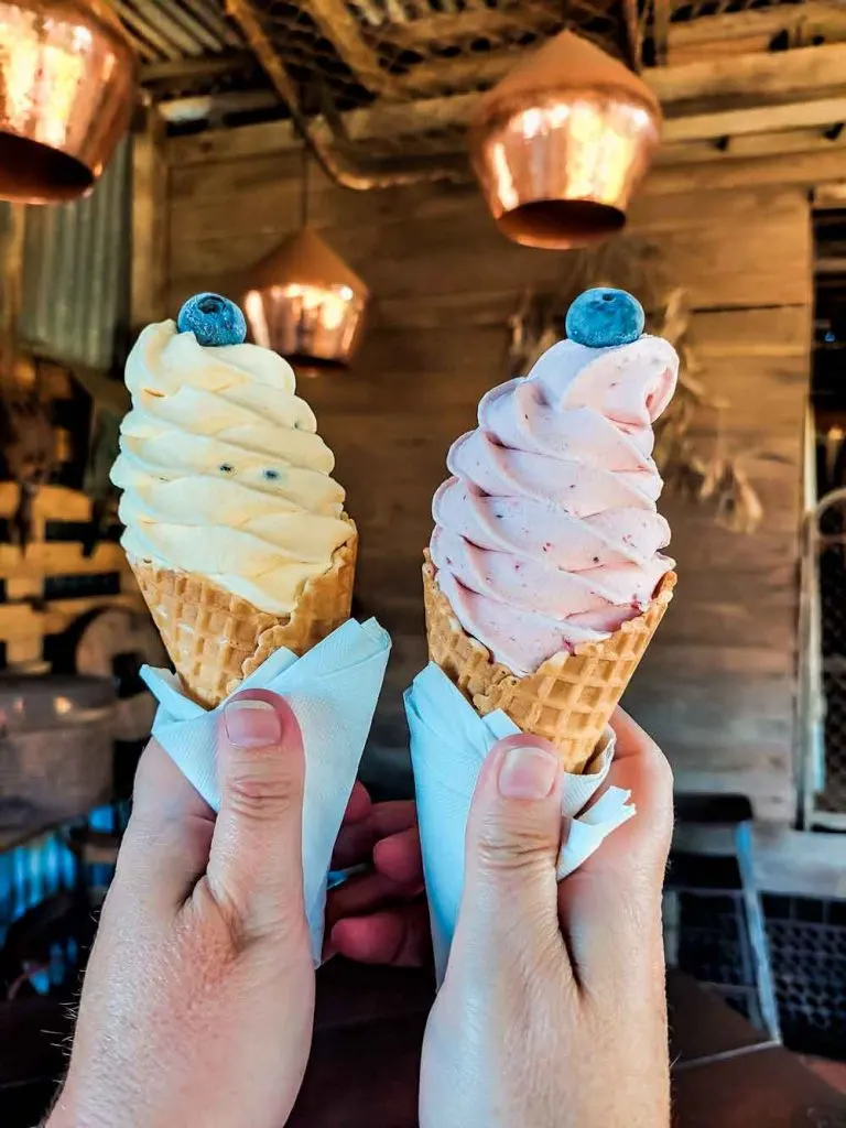 Tinaberries ice creams in Bundaberg