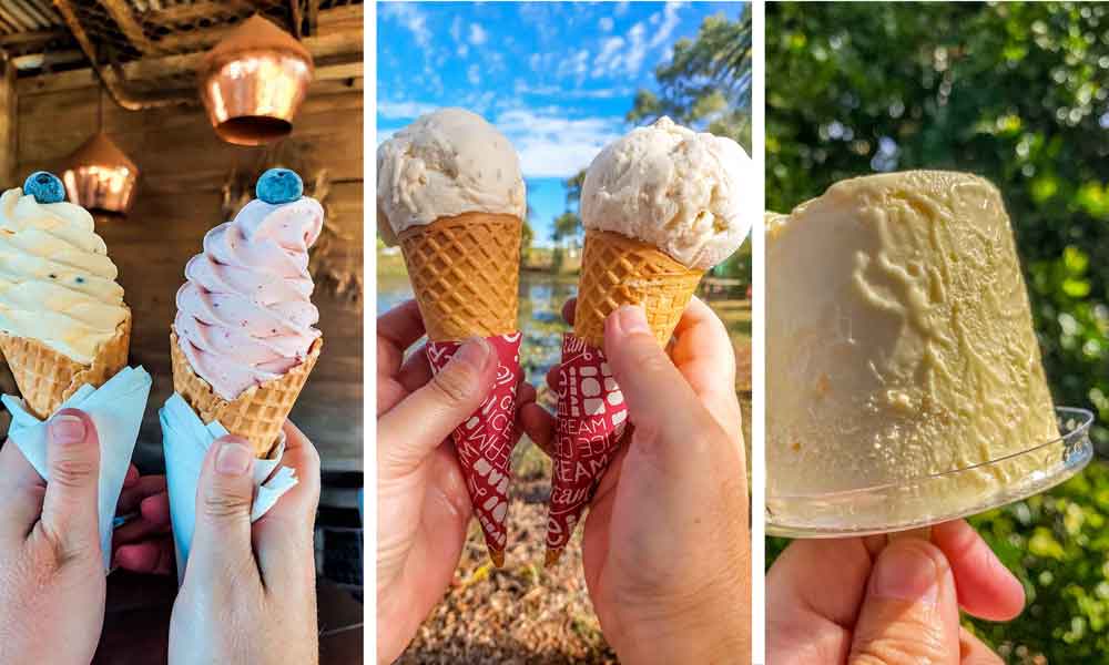 The best ice cream in Hervey Bay and Bundaberg
