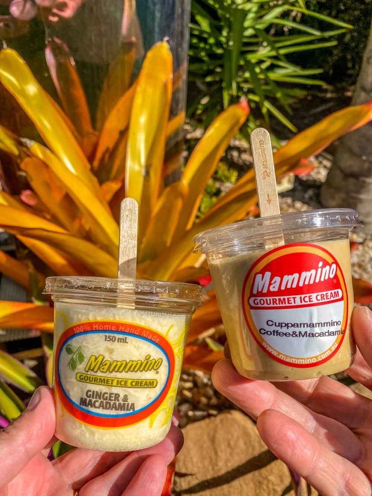 The best ice cream, Hervey Bay to Bundaberg