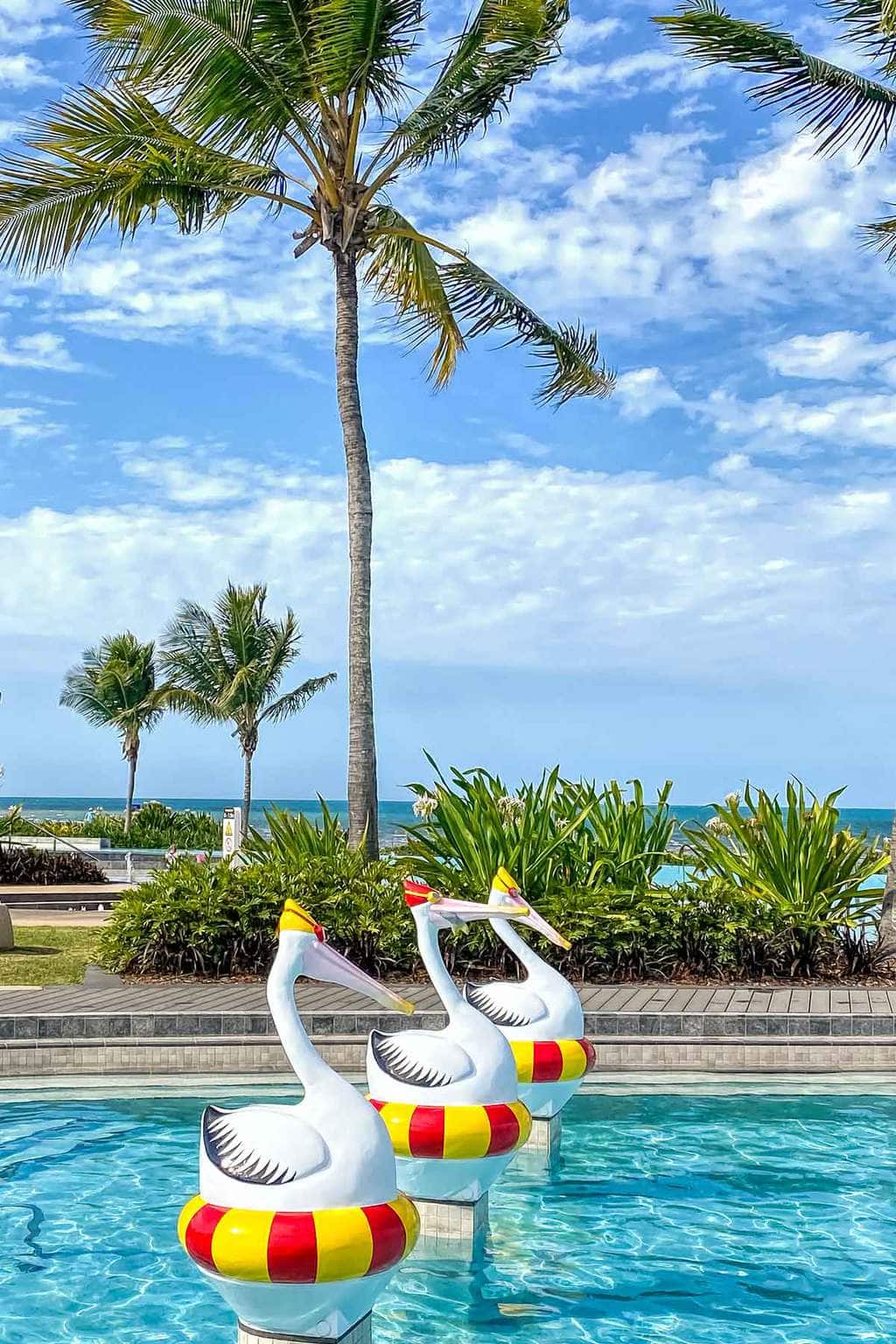 Pelican statues in Yeppoon Lagoon pool