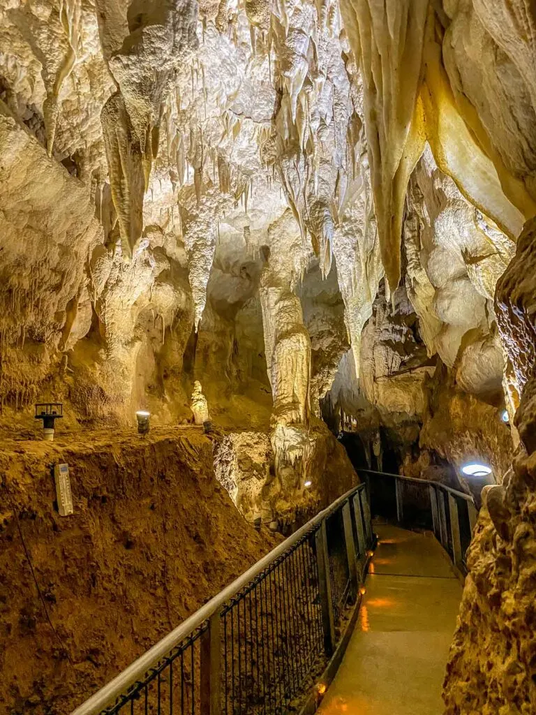 Path and handrails inside Ruakuri Cave