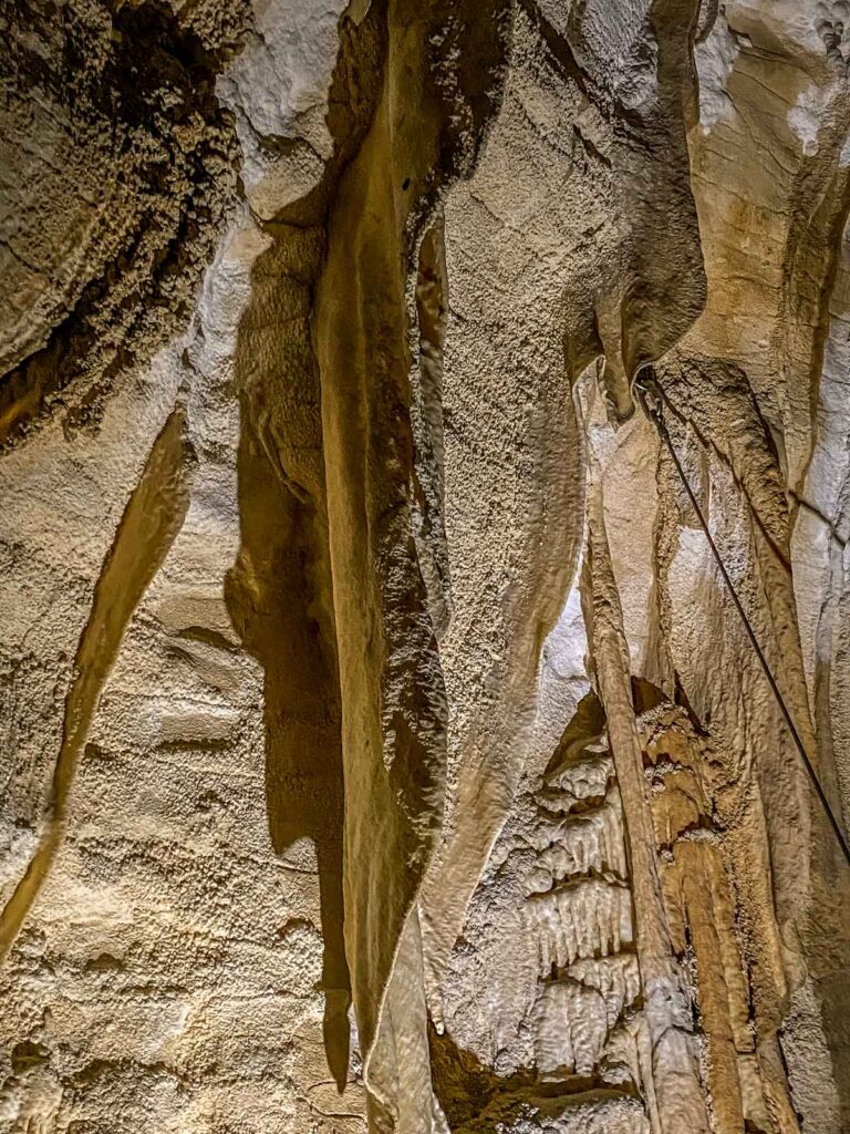 Limestone shawl formation in Ruakuri Cave