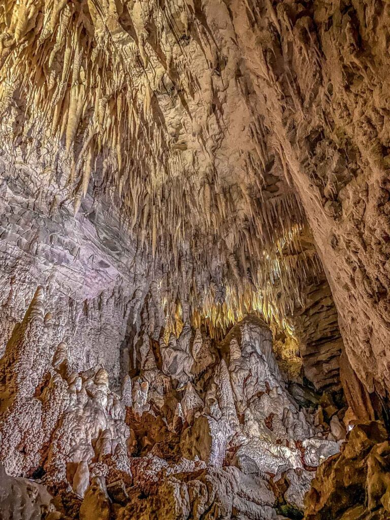 Floor to ceiling limestone formations in Ruakuri Cave