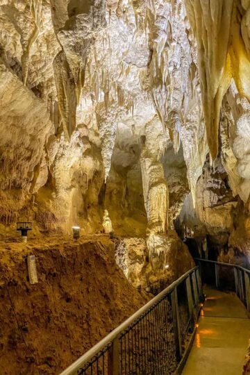 Inside Ruakuri Cave in Waitomo