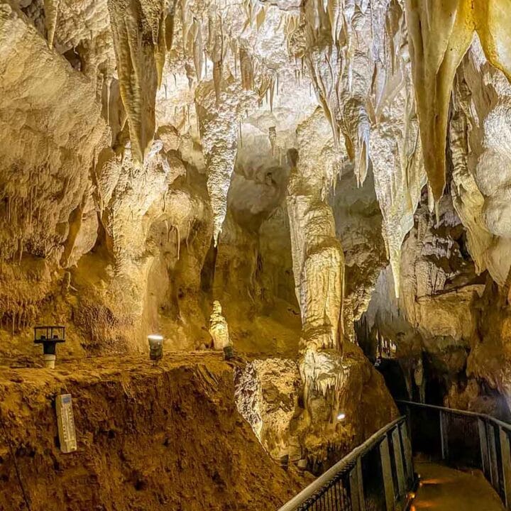 Inside Ruakuri Cave in Waitomo