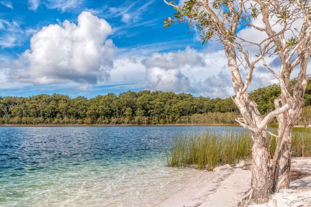 Crystal clear lake on Fraser Island