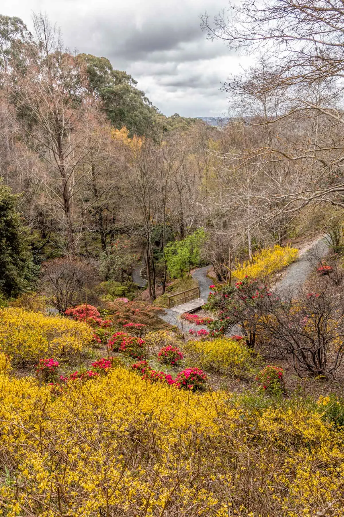 Mounty Lofty Botanic Garden