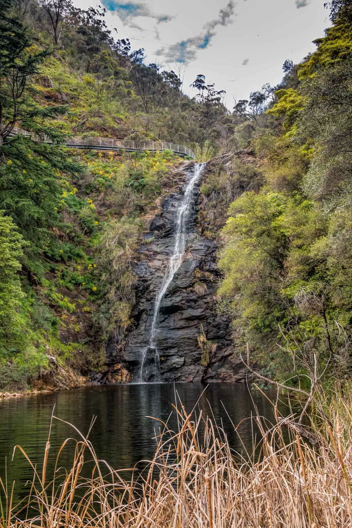 First waterfall at Waterfall Gully